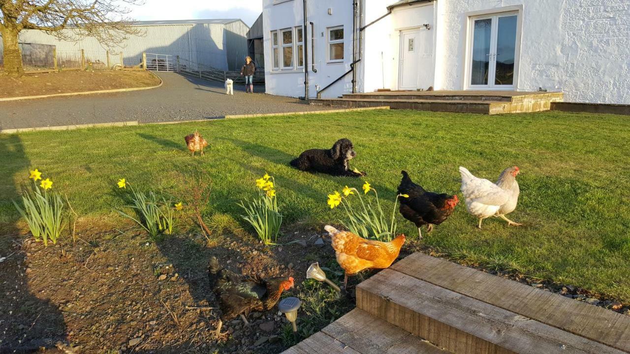 Crofthead Farm House Tarbolton Екстериор снимка